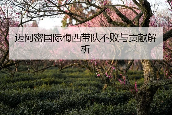 迈阿密国际梅西带队不败与贡献解析