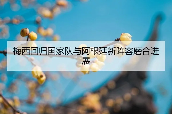 mei-xi-hui-gui-guo-jia-dui-yu-a-gen-ting-xin-zhen-rong-mo-he-jin-zhan-2-866.jpg