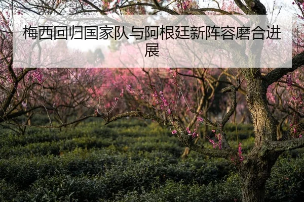 梅西回归国家队与阿根廷新阵容磨合进展